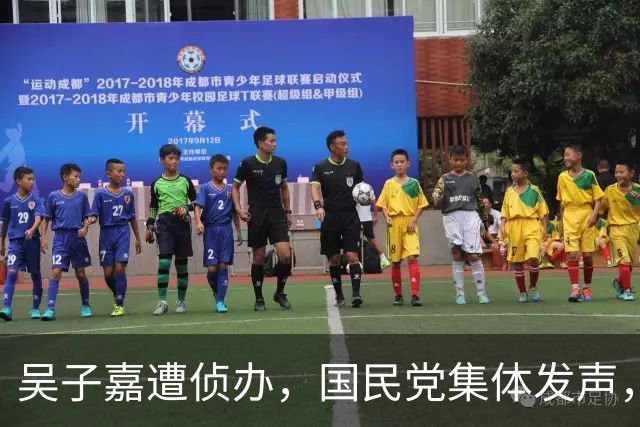 吴子嘉遭侦办，国民党集体发声，郑丽文重磅发声，民进党放人了？