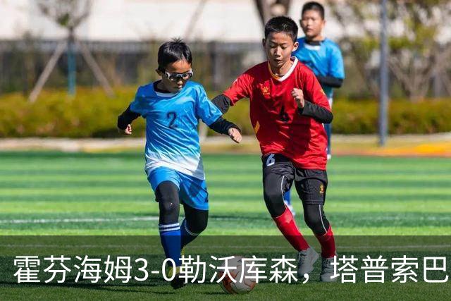霍芬海姆3-0勒沃库森,塔普索巴送点,克拉马里奇传射建功